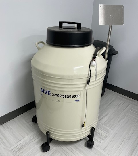 mve cryosysten 6000 mve cryosysten 6000
